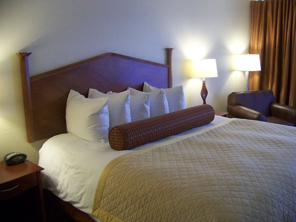Norfolk Country Inn & Suites Executive Room, 1 King Bed (Pets Not Allowed) 2