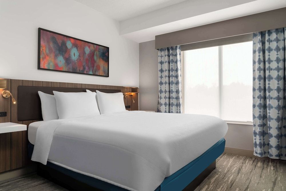 King Bed Jr Suite