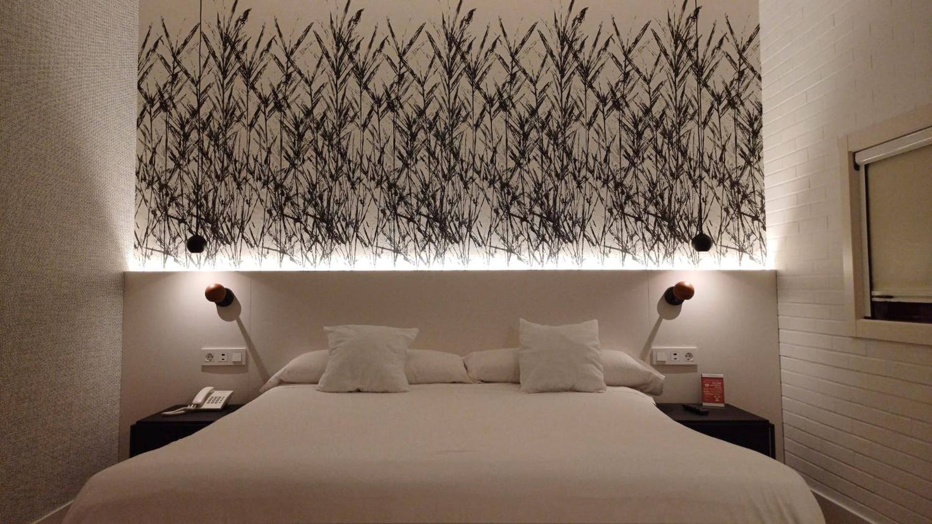 Ruta Jacobea Standard Suite 2