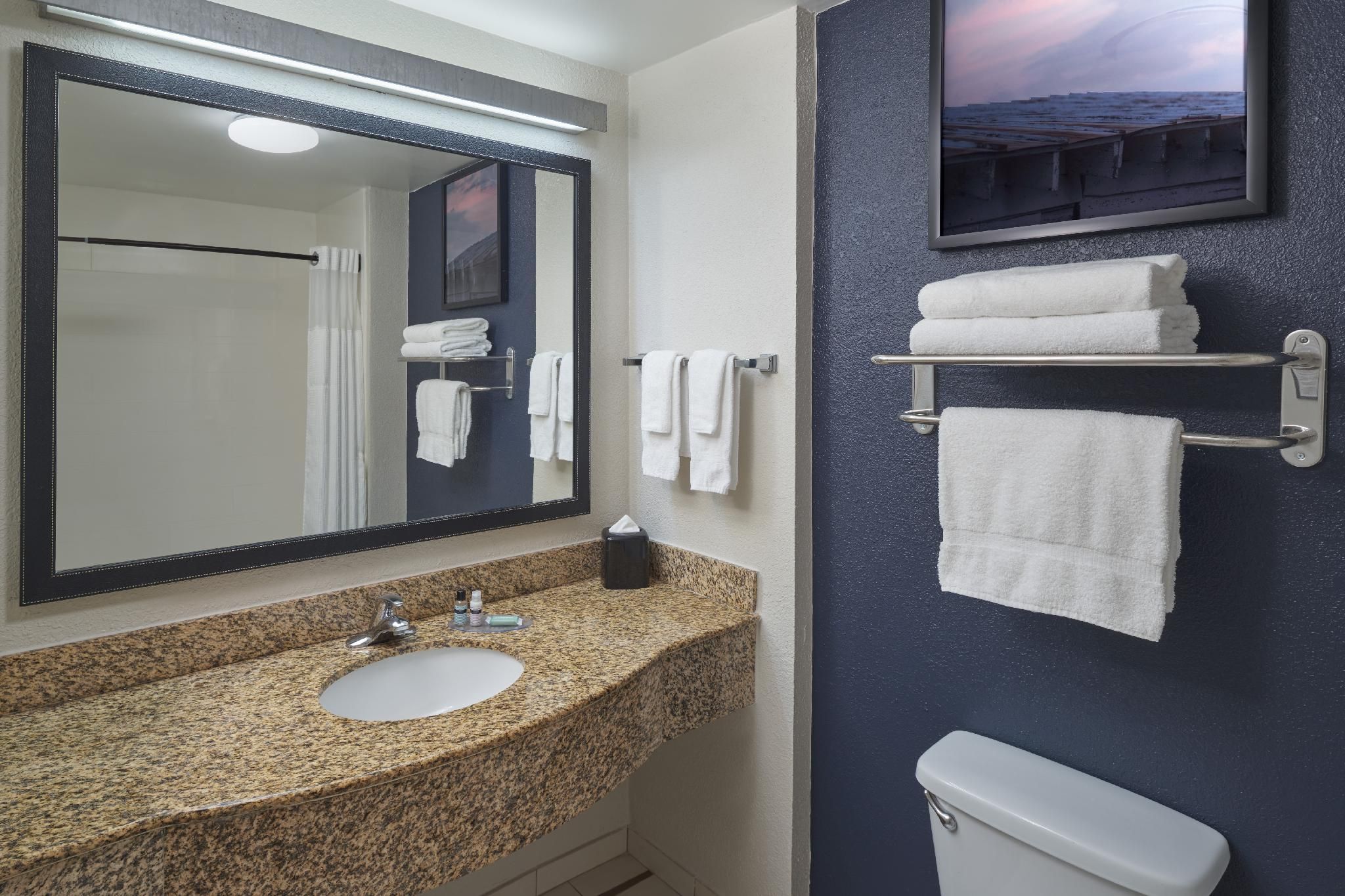 Fairfield by Marriott Inn & Suites Orlando International Drive/Convention Center Guest Room, 1 King 2