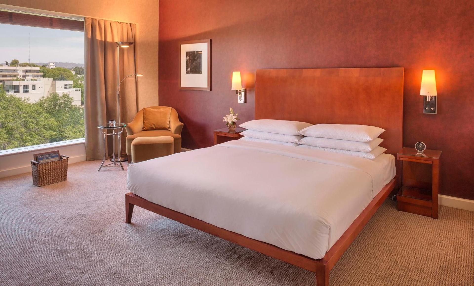 1 King Bed With Mountain View