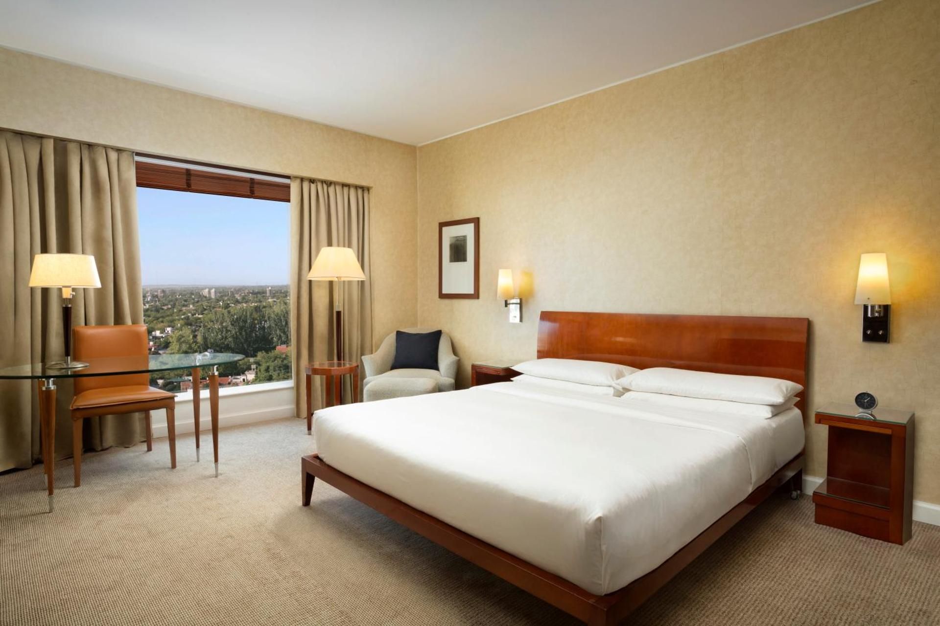 1 King Bed With Mountain View