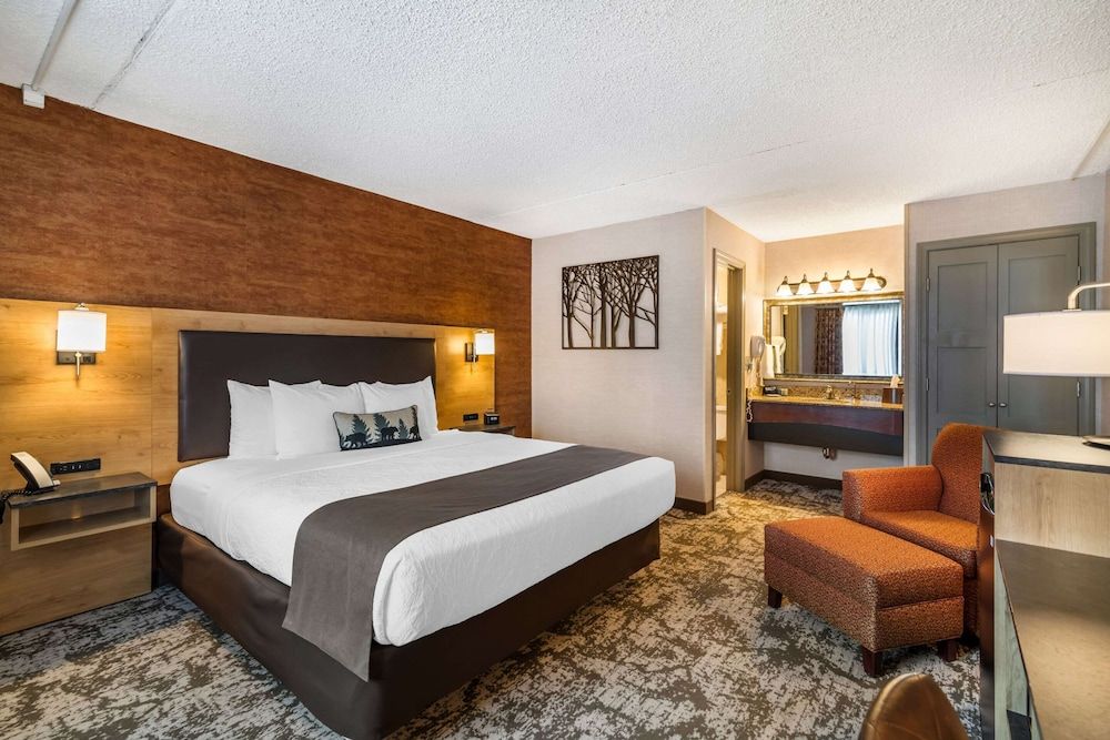 Standard Room, 1 King Bed, Non Smoking