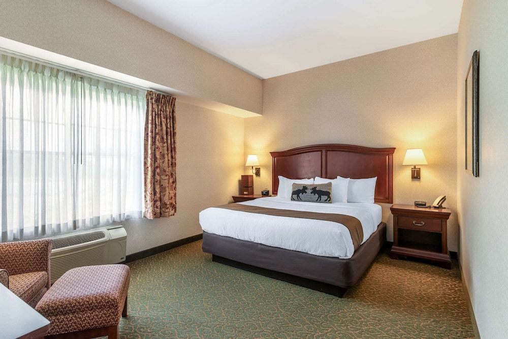 Executive Suite, 1 King Bed with Sofa bed, Non Smoking