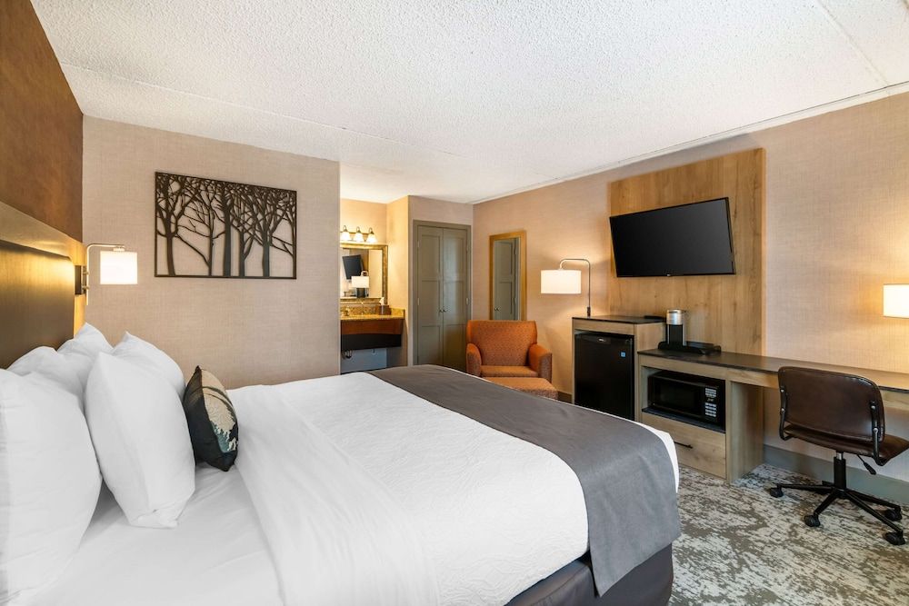 Standard Room, 1 King Bed, Non Smoking