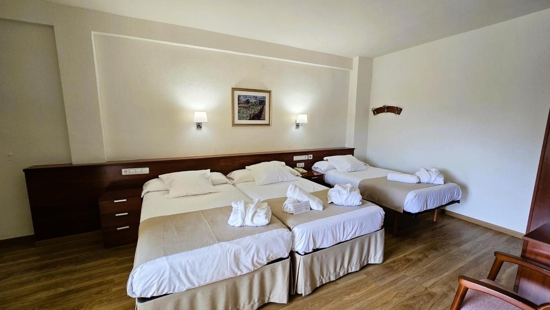 Triple Room (2 Adults + 1 Child)
