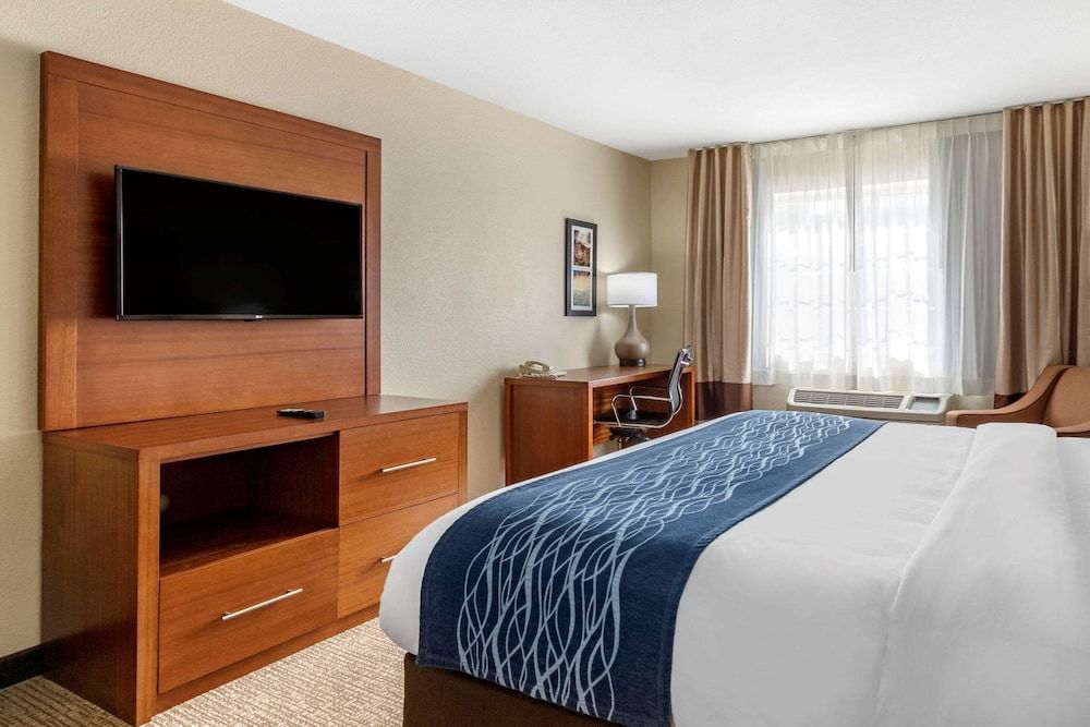 Room, 1 King Bed, Non Smoking (Efficiency, Pet Friendly)