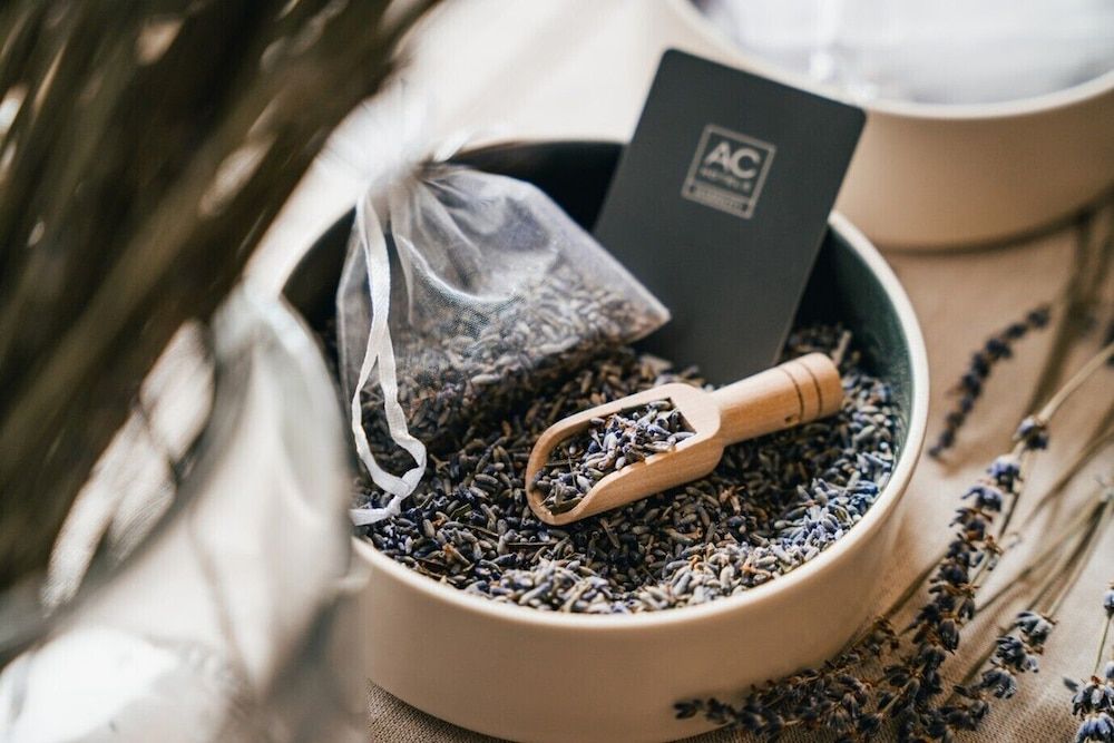 undefined AC Hotel by Marriott Old Montreal 5