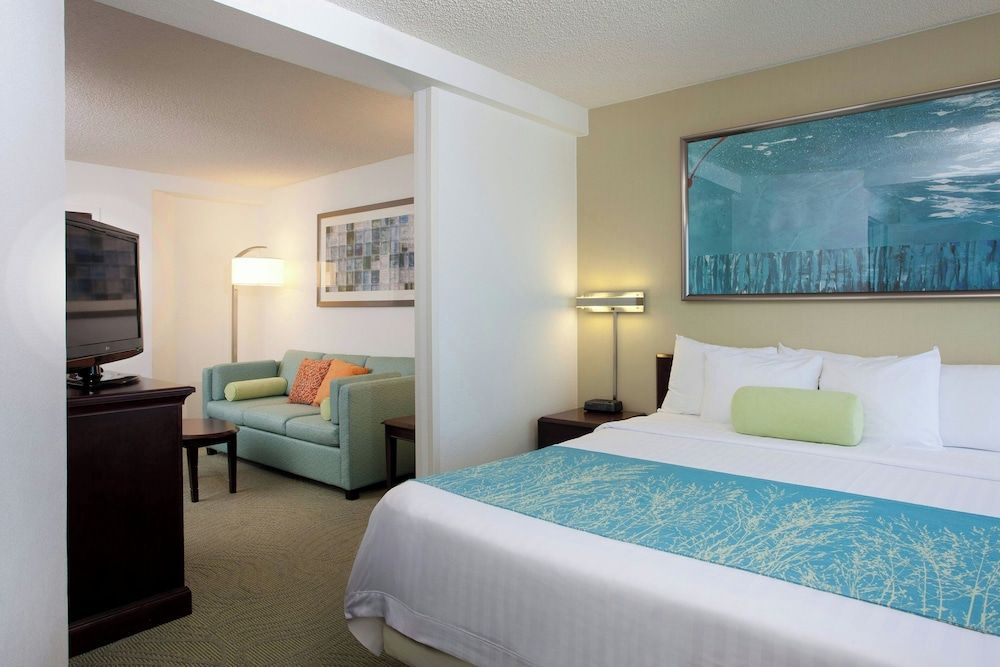 Suite, 1 King Bed with Sofa bed, Non Smoking