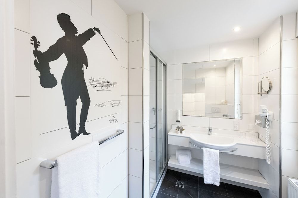 Hotel Johann Strauss Standard Double Room 14