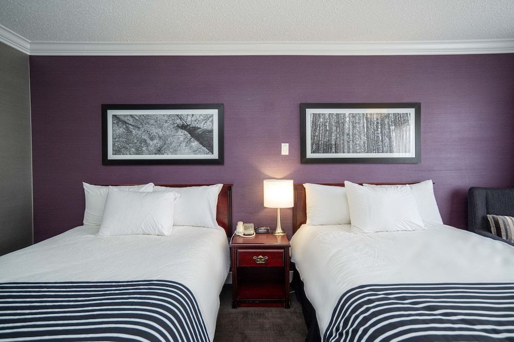 Standard Room, 2 Double Beds