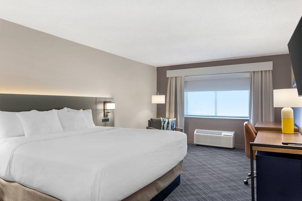 Standard Room, 1 King Bed, Non Smoking