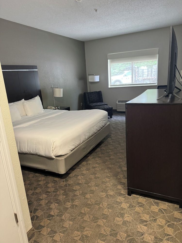 Standard Room, 1 King Bed, Non Smoking