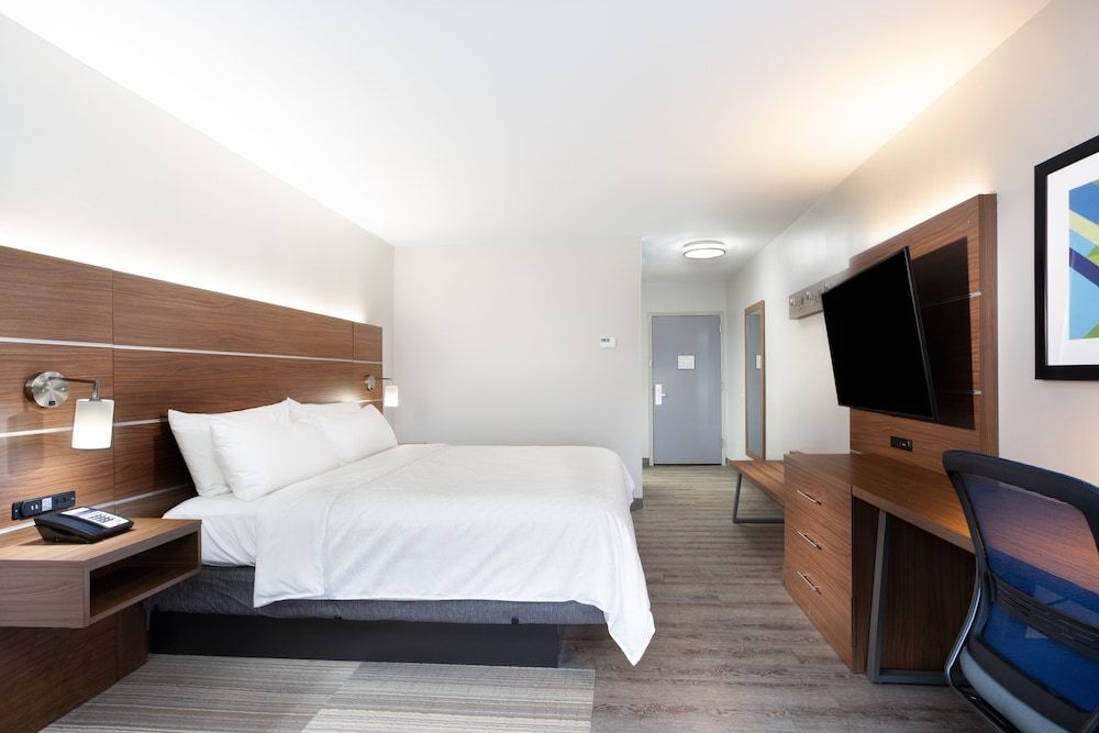 Suite, 1 King Bed with Sofa bed