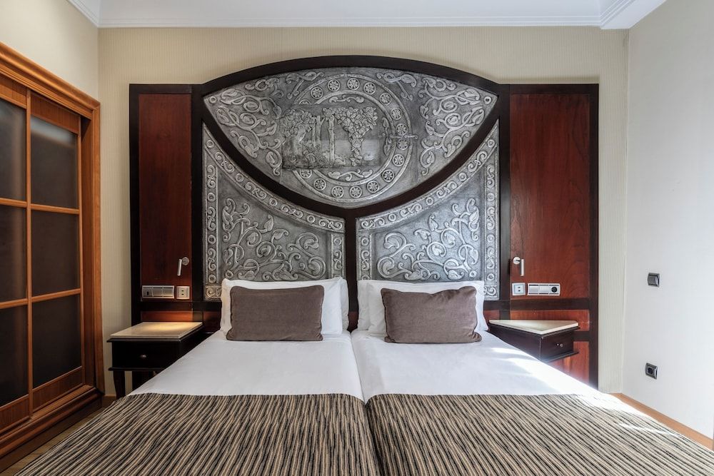 Petit Palace Arturo Soria Standard Double Room 9