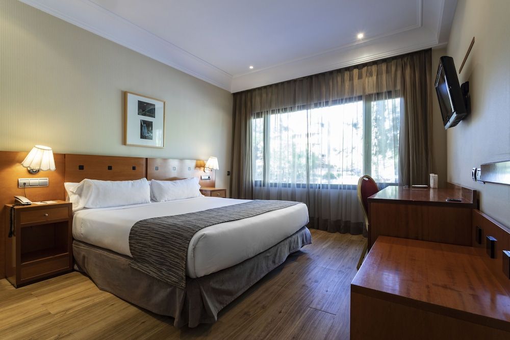 Petit Palace Arturo Soria Standard Double Room 2