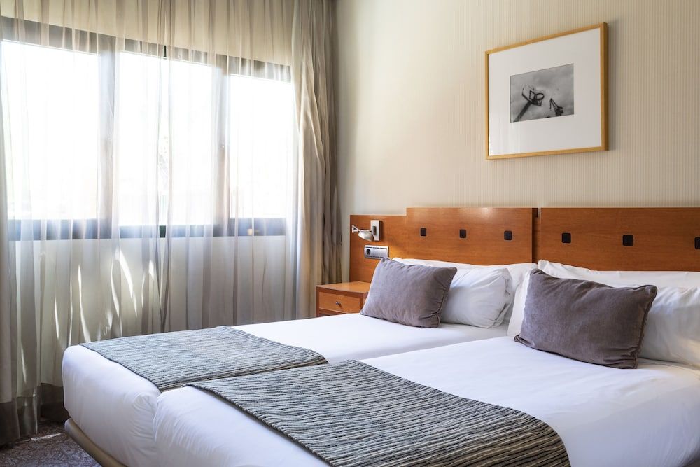 Petit Palace Arturo Soria Standard Double Room 4