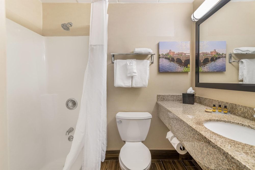 Best Western Plus Waltham Boston Standard Room, 1 King Bed, Non Smoking, Refrigerator & Microwave (with Sofabed) 4