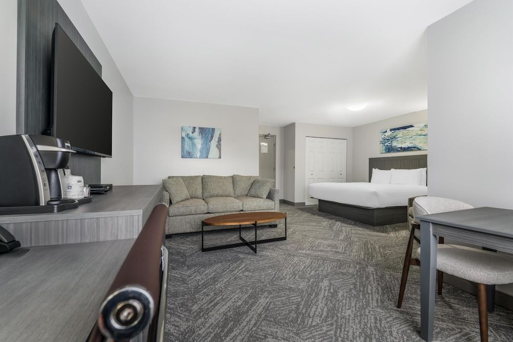 Standard Room, 1 King Bed, Non Smoking (with Single Sofabed;Larger Room)