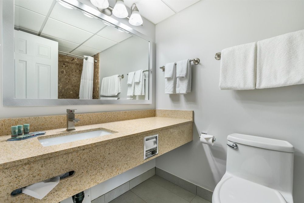 Standard Room, 1 King Bed, Non Smoking, Kitchen (Sofabed, Larger Room, Full Kitchen)