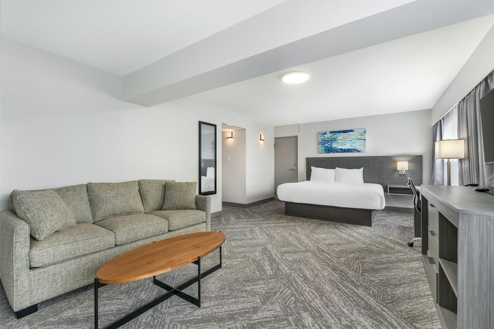 Standard Room, 1 King Bed, Non Smoking, Kitchen (Sofabed, Larger Room, Full Kitchen)