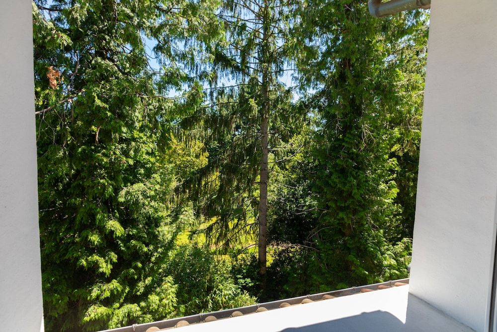 Hôtel de La Pommeraie Classic Single Room 9