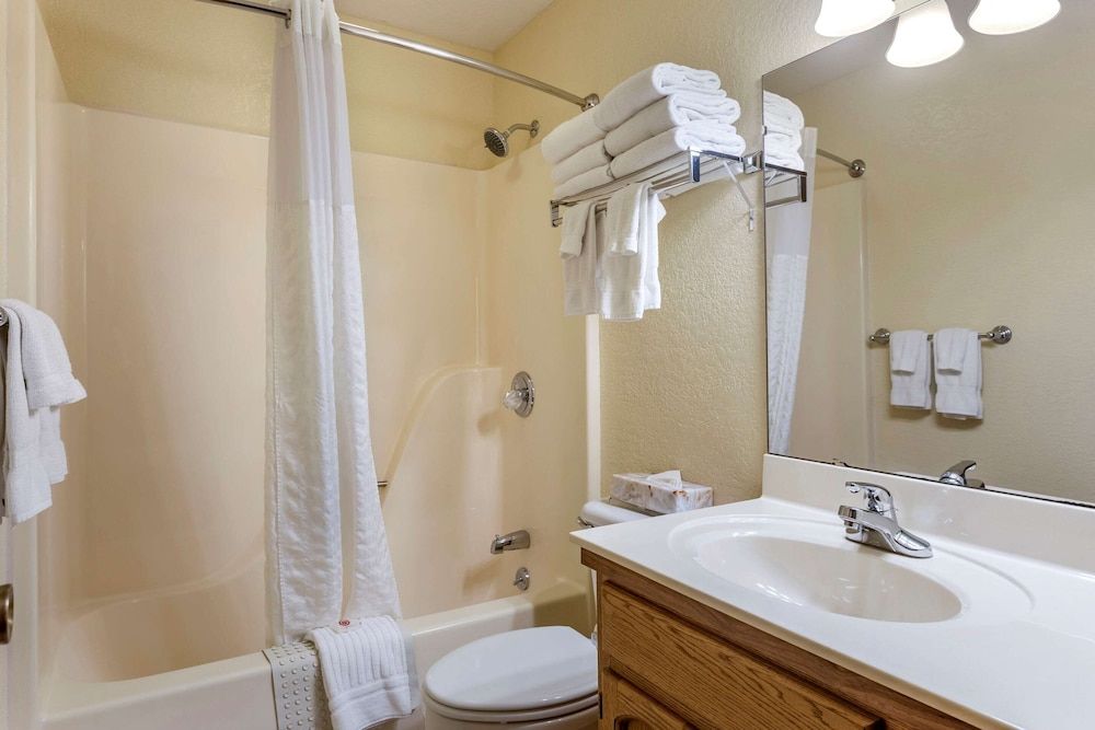Suite, 1 King Bed with Sofa bed, Accessible, Non Smoking