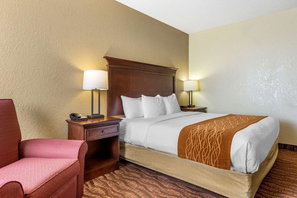 Room, 1 King Bed, Non Smoking