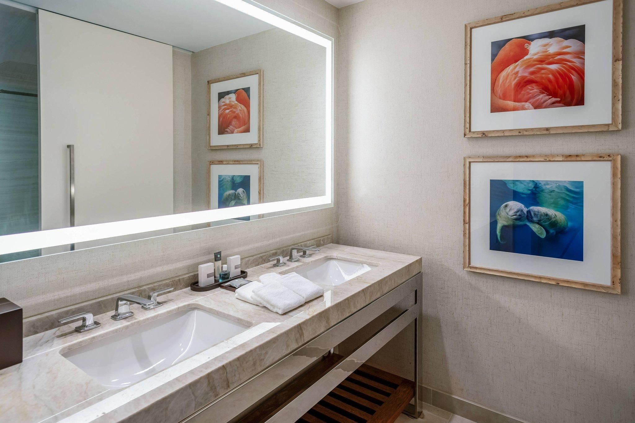 1 Bedroom Suite, 1 King, Sofa bed, Deluxe