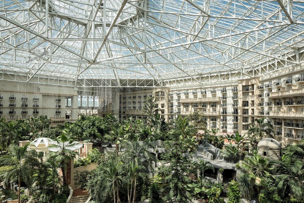 undefined Gaylord Palms Resort & Convention Center 5