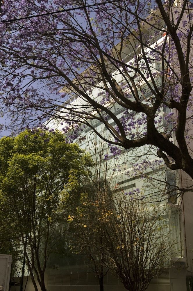 undefined Habita, Mexico City, a Member of Design Hotels 5