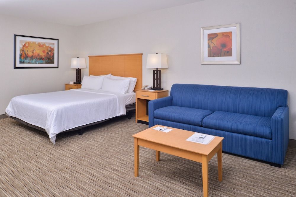 Standard Room, 1 King Bed with Sofa bed