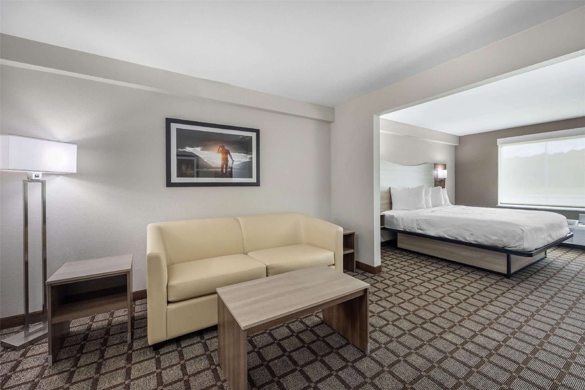 Suite - 1 King Bed, Nonsmoking, Sofabed For One Person, Work Desk, Chair With Ottoman, Microwave And