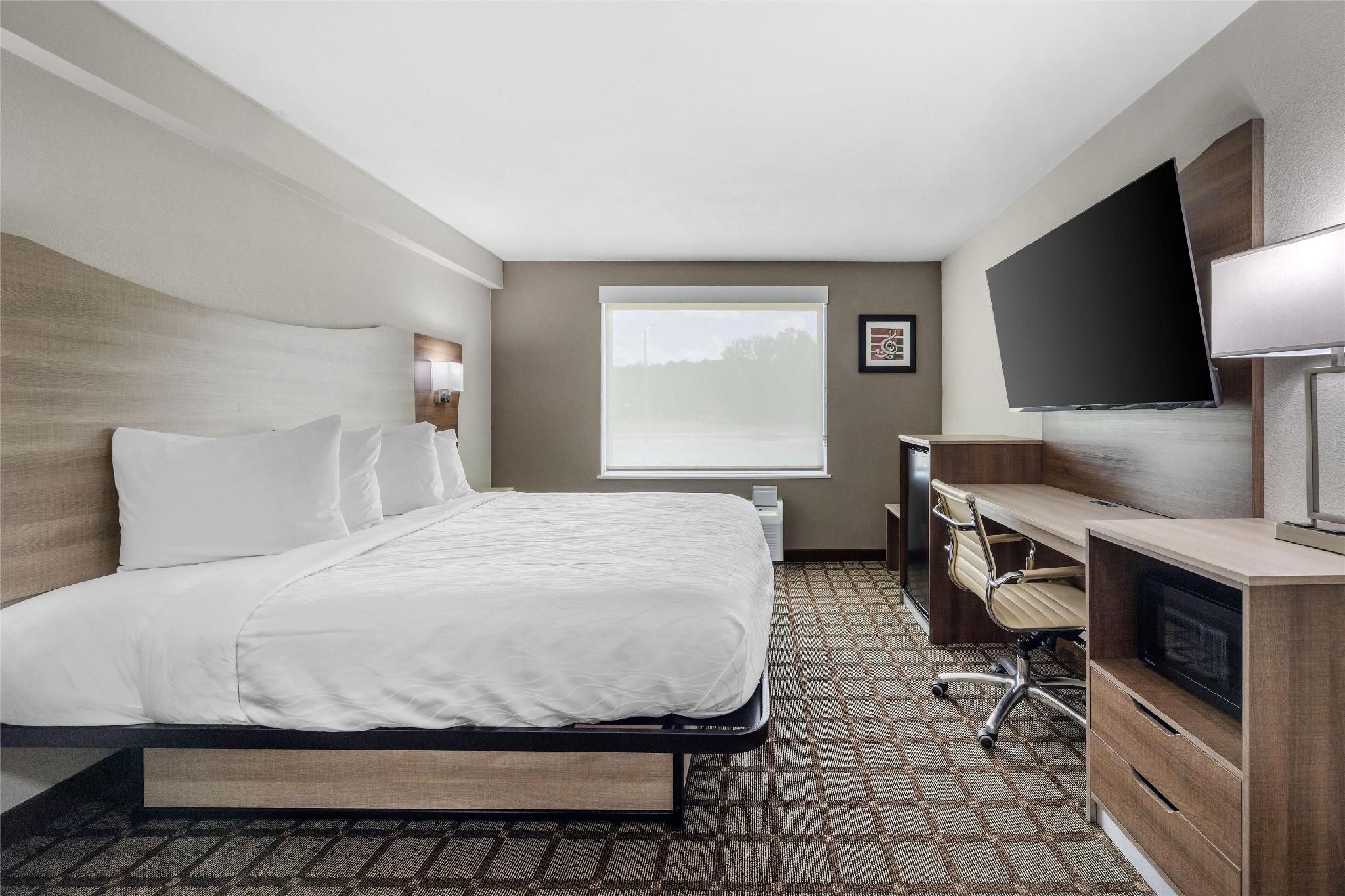 Suite - 1 King Bed, Nonsmoking, Sofabed For One Person, Work Desk, Chair With Ottoman, Microwave And