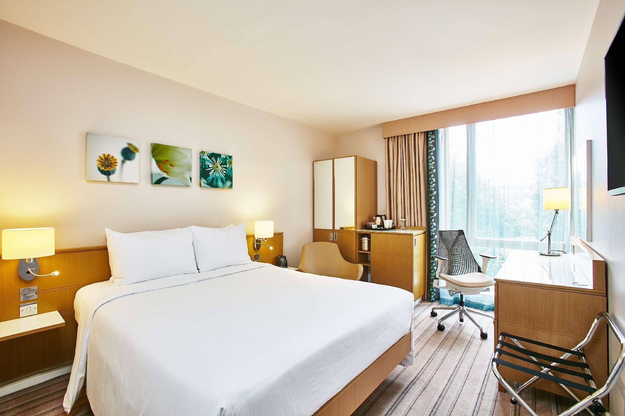 Queen Accessible Room