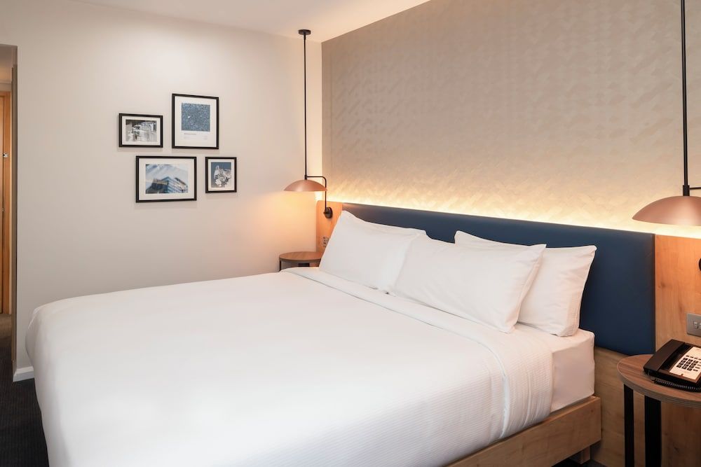 Room, 1 King Bed
