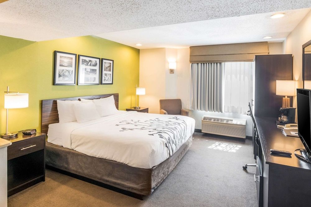 Standard Room, 1 King Bed with Sofa bed, Non Smoking