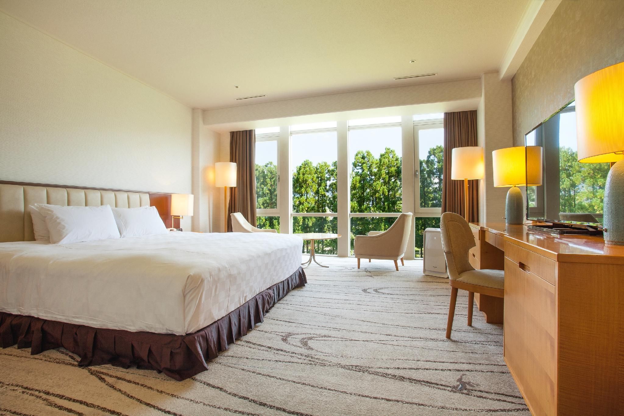 Guest room, 1 King