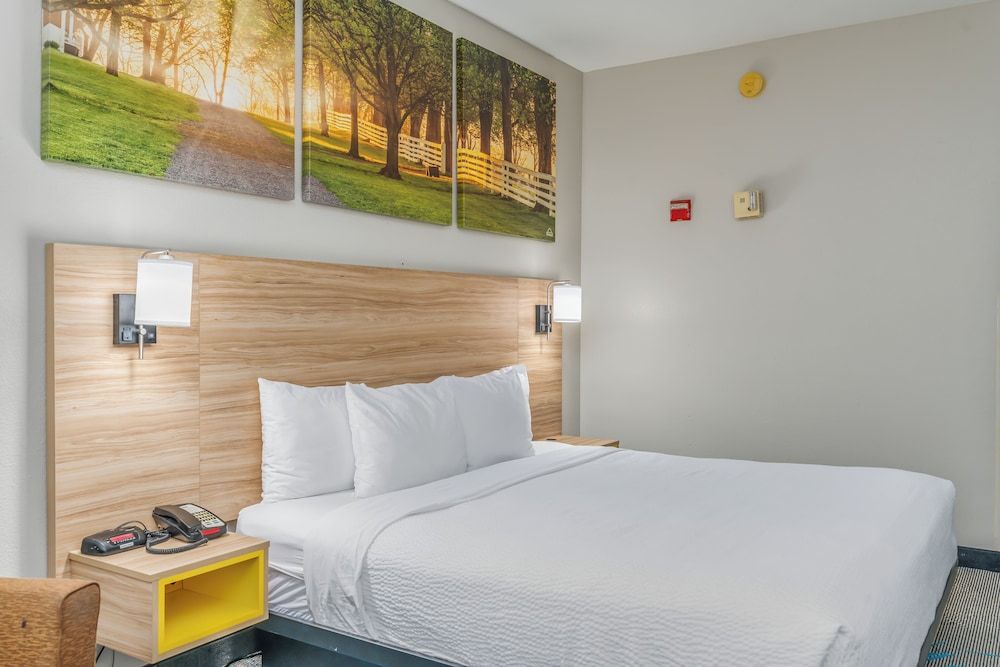 Room, 1 King Bed, Accessible