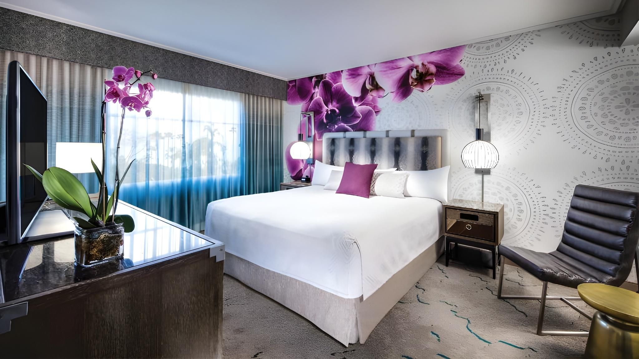 Hearing Accessible King Suite (Includes FREE Universal Express Unlimited)