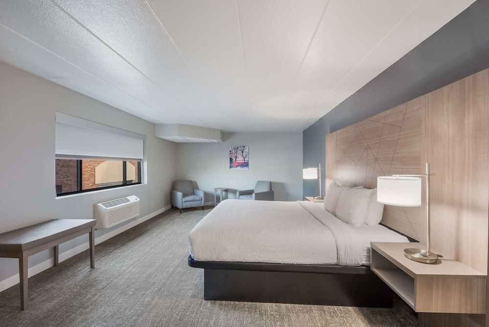 Suite, 1 King Bed, Non Smoking, Refrigerator & Microwave (Larger Room;with Sofabed)