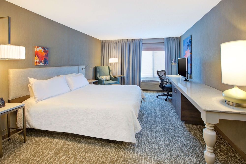 Room, 1 King Bed, Accessible