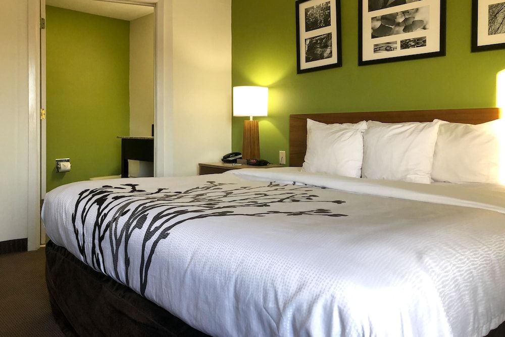 Room, 1 King Bed