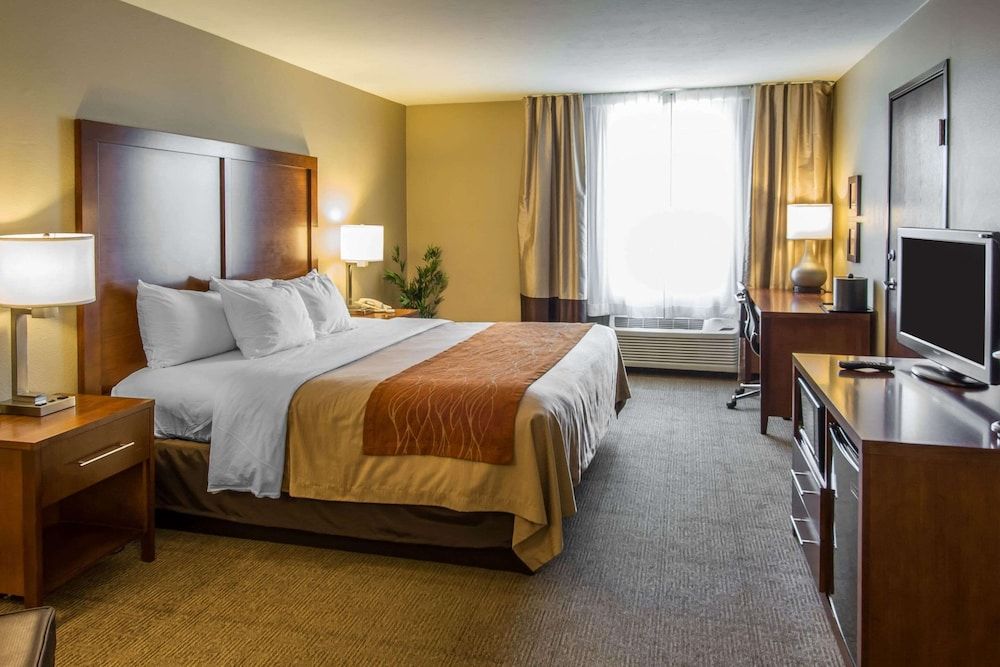 Standard Room, 1 King Bed, Non Smoking