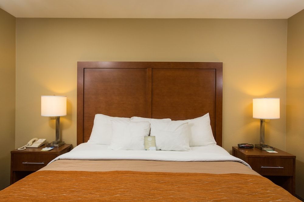 Suite, 1 King Bed with Sofa bed
