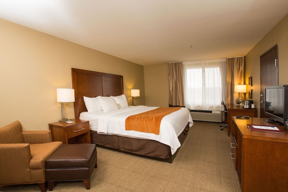 Standard Room, 1 King Bed, Non Smoking