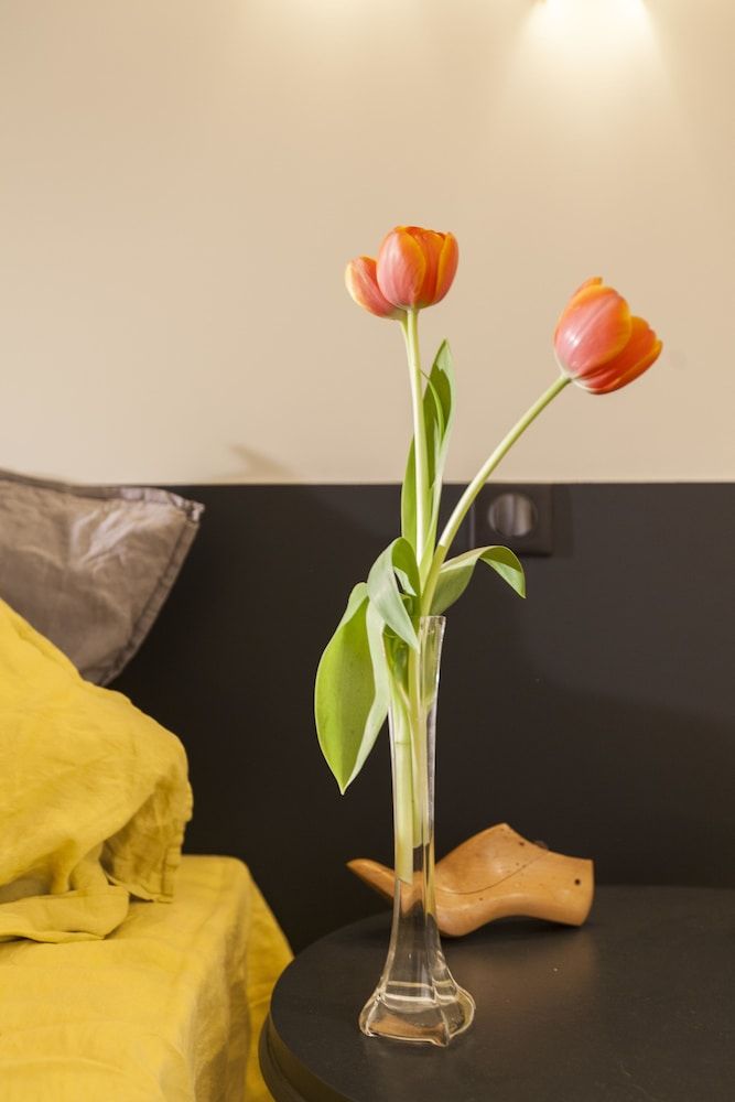 La Maison Volver Standard Double Room 9