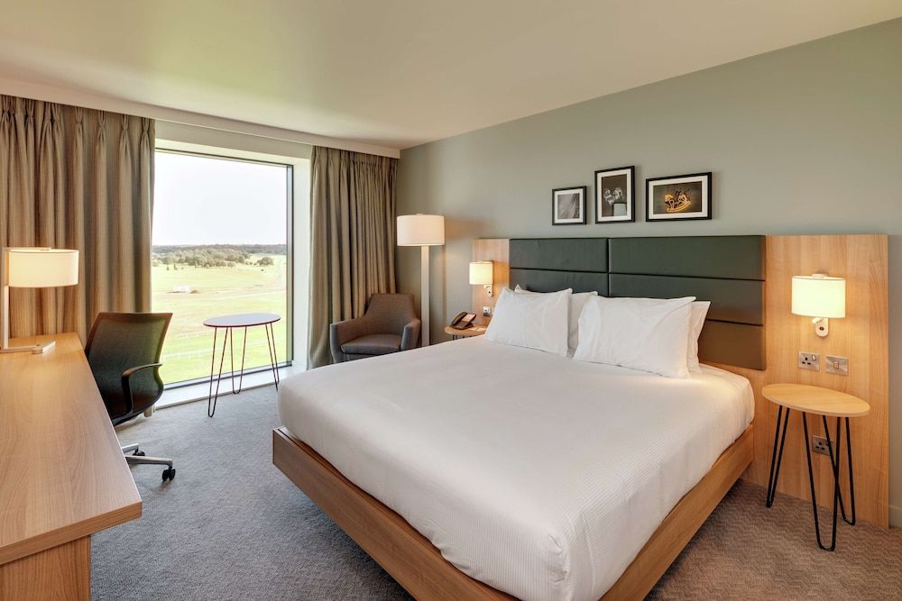 Room, 1 King Bed (Racecourse View)