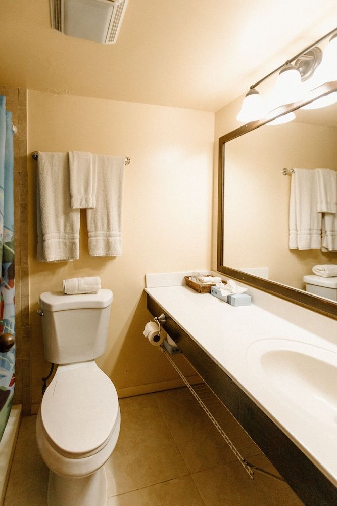 Hotel on the Cay Superior Double Room 6