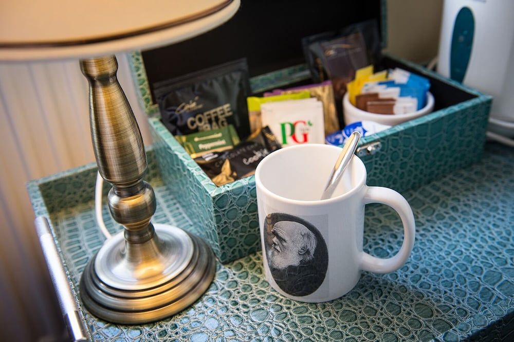 Darwin's Townhouse Single Room, Ensuite (Garden Room) 7